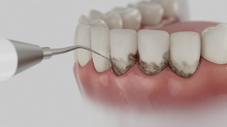 Reliable Dental contractor in Asotin, WA by Dentist Open Now